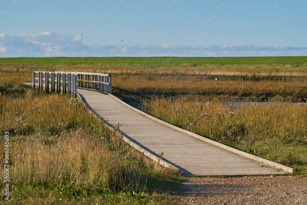 boardwalk and wooden footbridge at the nature experience path Langwarder Groden at the North Sea coast (Germany) on a sunny autumn day boardwalk and wooden footbridge at the nature experience path Langwarder Groden at the North Sea coast (Germany) on a sunny autumn day