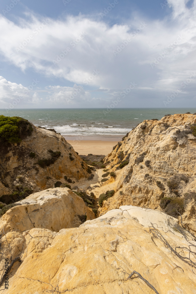 unas vistas de la bella playa de Mazagon, situada en la provincia de Huelva,España. acantilados,pinos y vegetacion