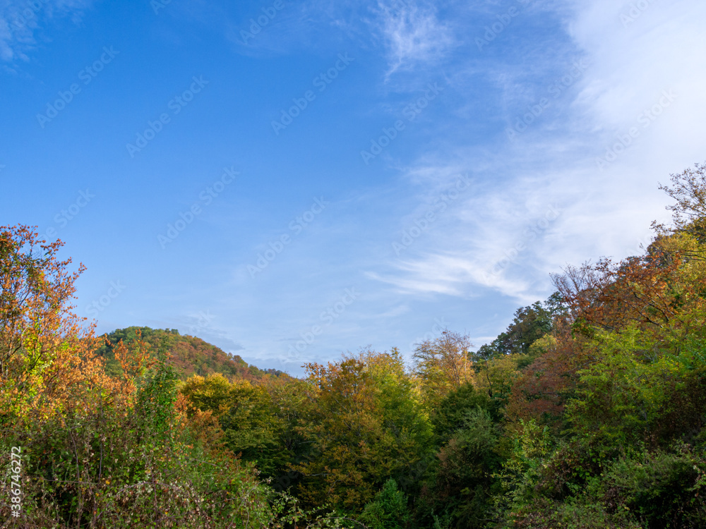 Blue cloudy sky over the mountain and the autumn forest