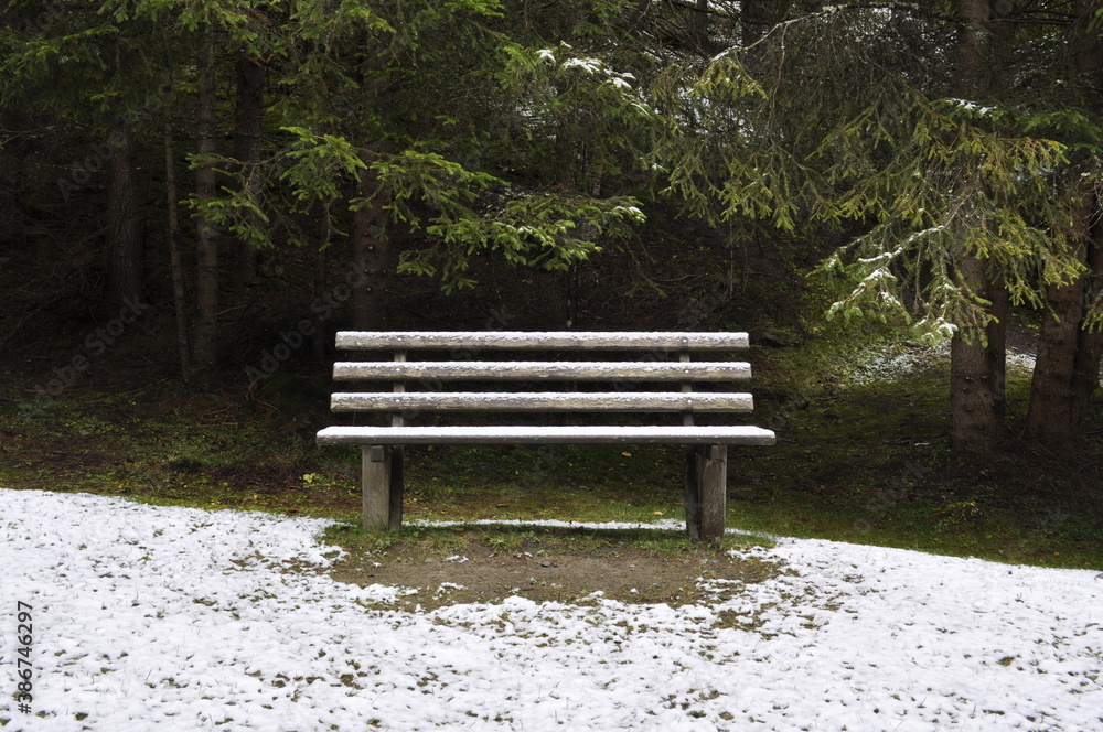 Stelvio National Park , bench in the park with first snow  