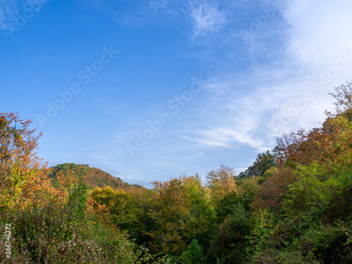 Blue cloudy sky over the mountain and the autumn forest
