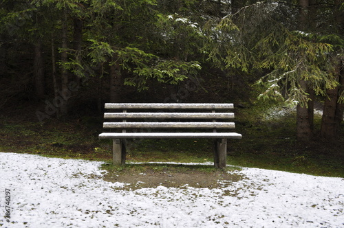 Stelvio National Park , bench in the park with first snow 