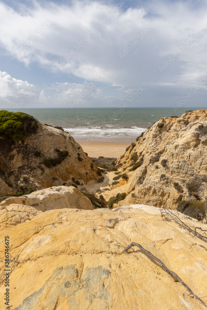 unas vistas de la bella playa de Mazagon, situada en la provincia de Huelva,España. acantilados,pinos y vegetacion