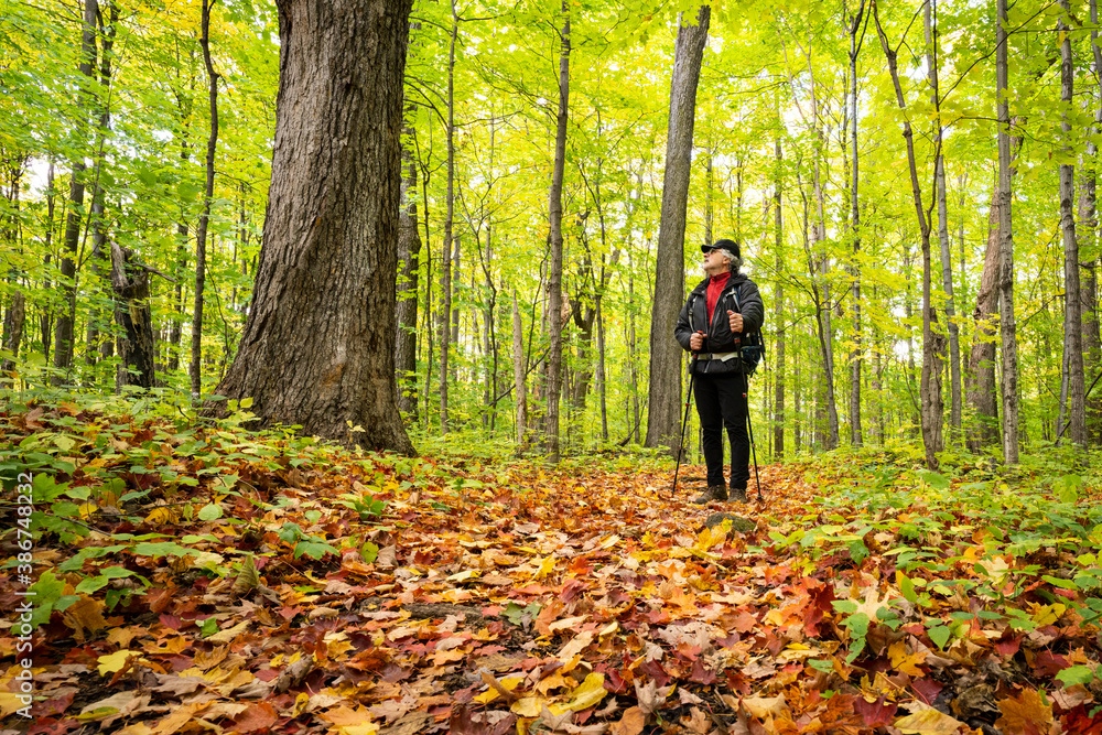 Active healthy man hiking in beautiful autumn forest Active healthy man hiking in beautiful autumn forest