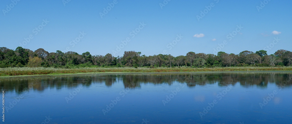 lake in the forest lake in the forest