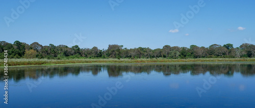 lake in the forest