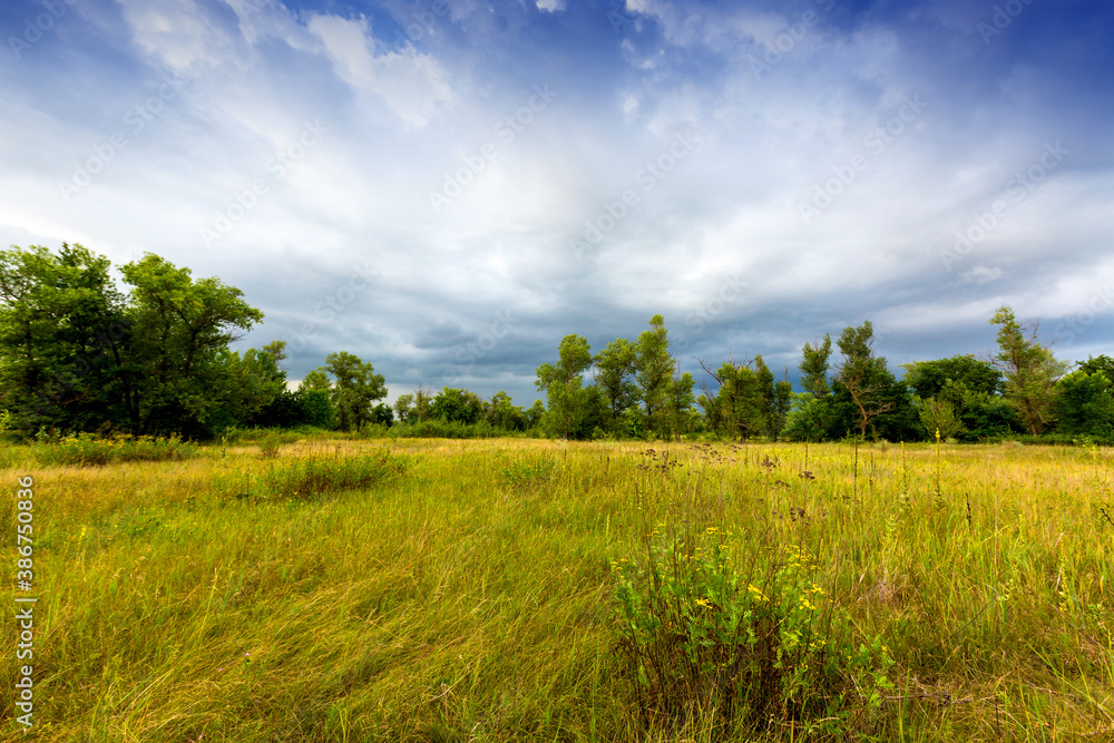 Obraz premium storm in steppe
