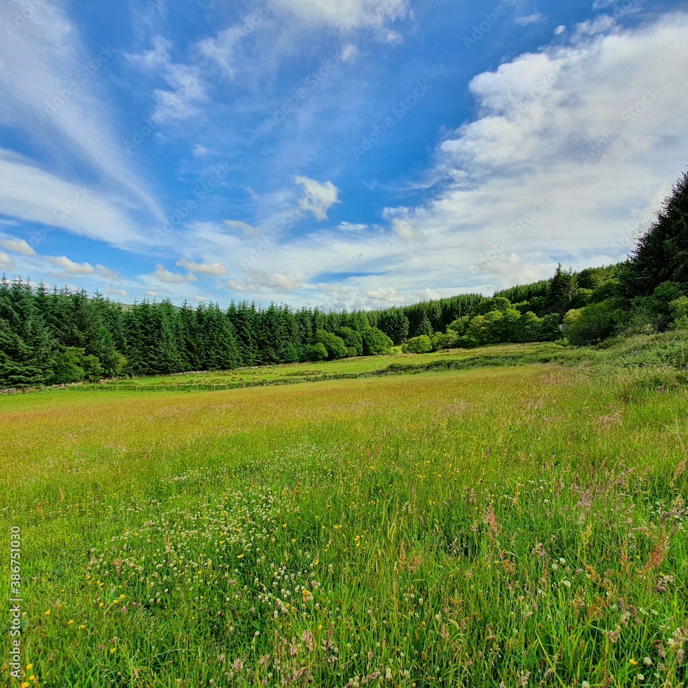 field and sky field and sky