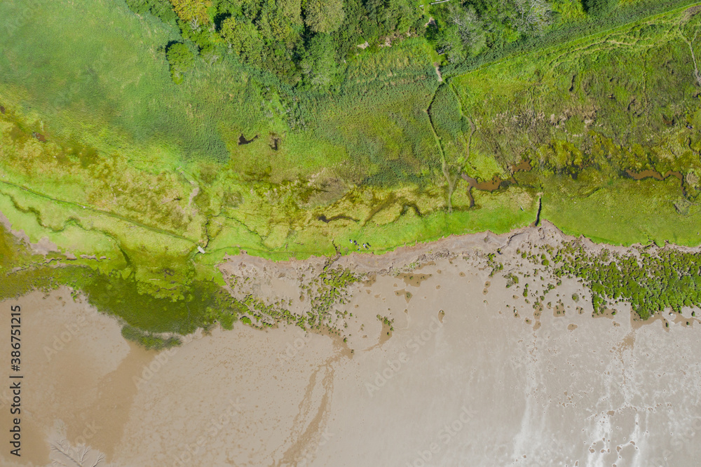 Aerial Landscape View of Trees and Grass Alongside the Algae and Sand