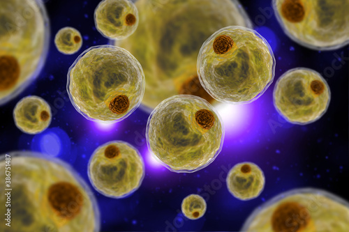 Adipocyte Human Fat Cells 3D Illustration