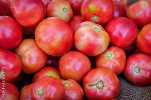Heirloom Tomatoes © Ezume Images