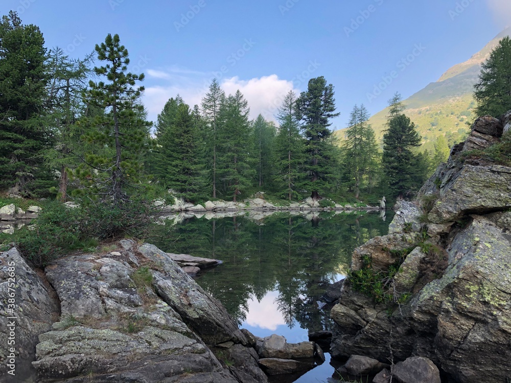 Bergsee mit Tannen und Spiegelung Bergsee mit Tannen und Spiegelung