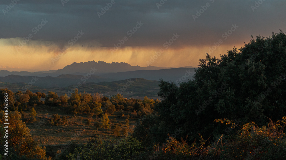 Forest landscape with the mountain of Montserrat in the background