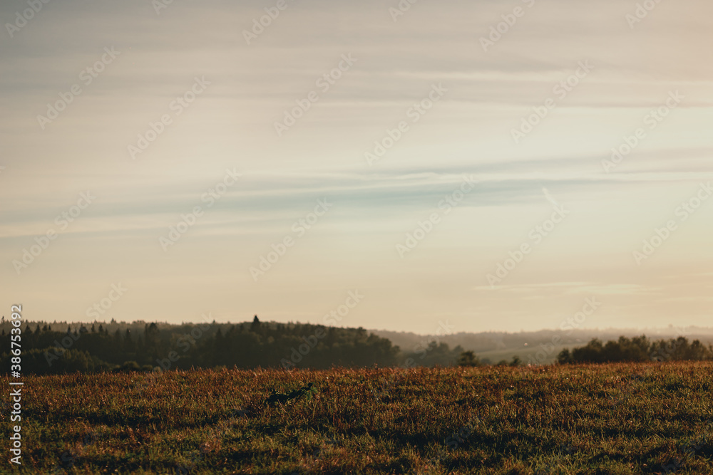 Natural landscape: early morning in a field overlooking the valley.