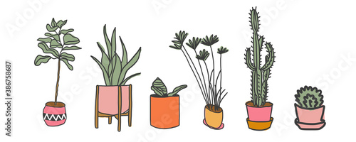 houseplants and succulents pot plants set vector illustration