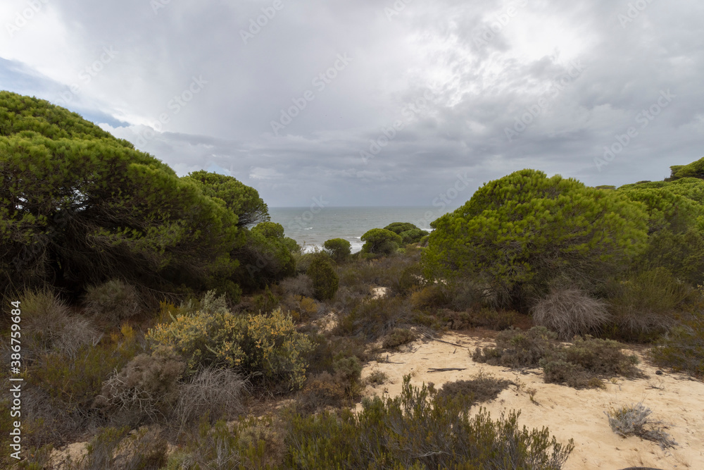 unas vistas de la bella playa de Mazagon, situada en la provincia de Huelva,España.Con sus acantilados,pinos,dunas ,vegetacion y un cielo con nubes
