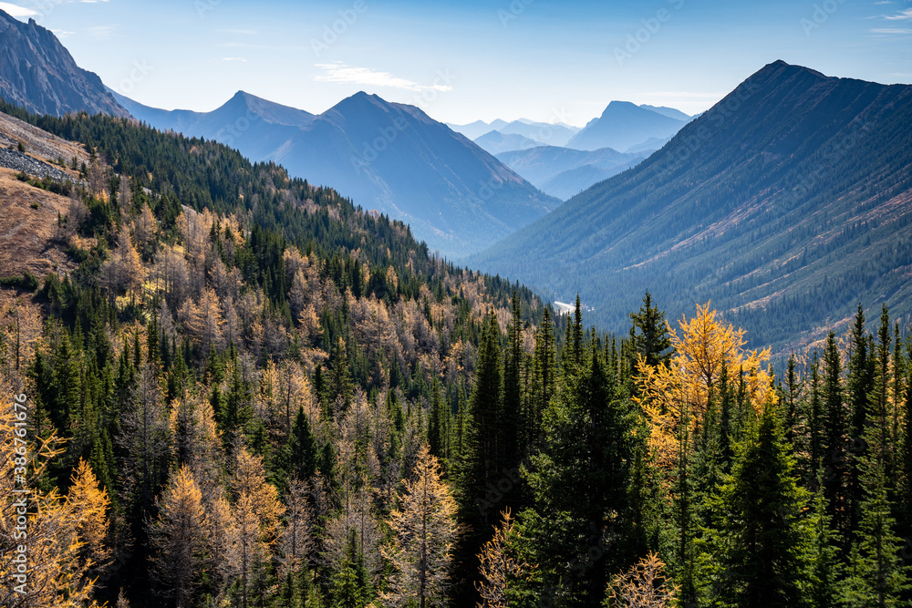 Fototapeta premium Canadian Rocky Mountains in fall colours with early morning haze.
