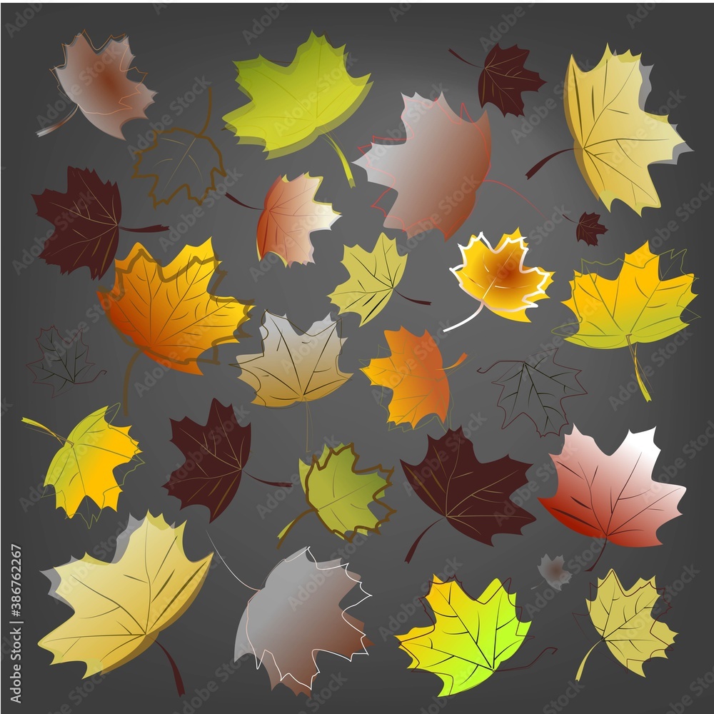 Maple leaves Maple leaves