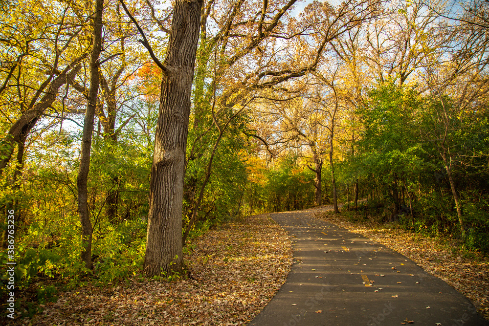 Naklejka premium Autumn Road