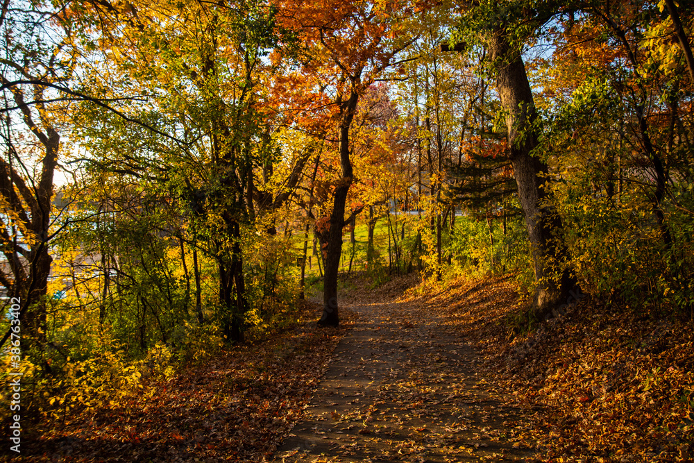 Obraz premium Autumn Road