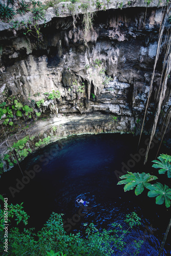 Person swimming in Oxman cenote with blue water and tropical plants in the cave, Yucatan, Mexico photo