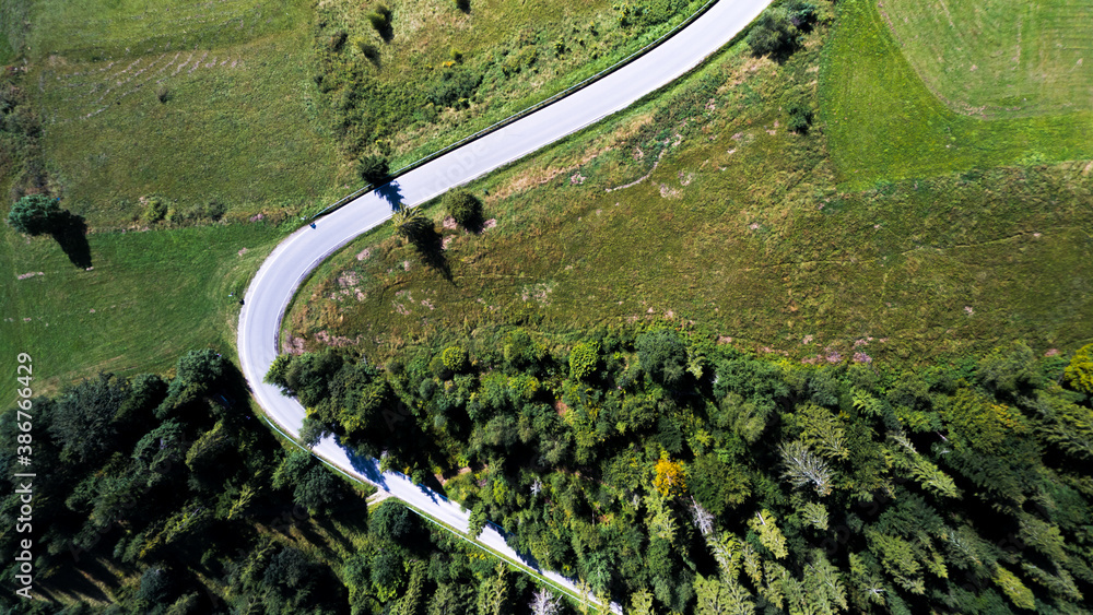 Green forest with curvy road seen from aerial top view