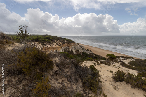 unas vistas de la bella playa de Mazagon, situada en la provincia de Huelva,España.Con sus acantilados,pinos,dunas ,vegetacion verde y un cielo con nubes © mialcas