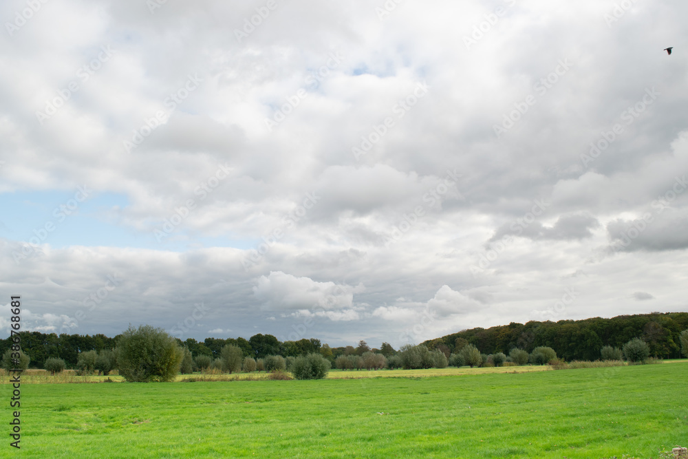 Meadow landscape next to Amelisweerd