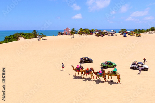 Passeios com dromedário mínguam nas dunas de Genipabu, litoral do RN.