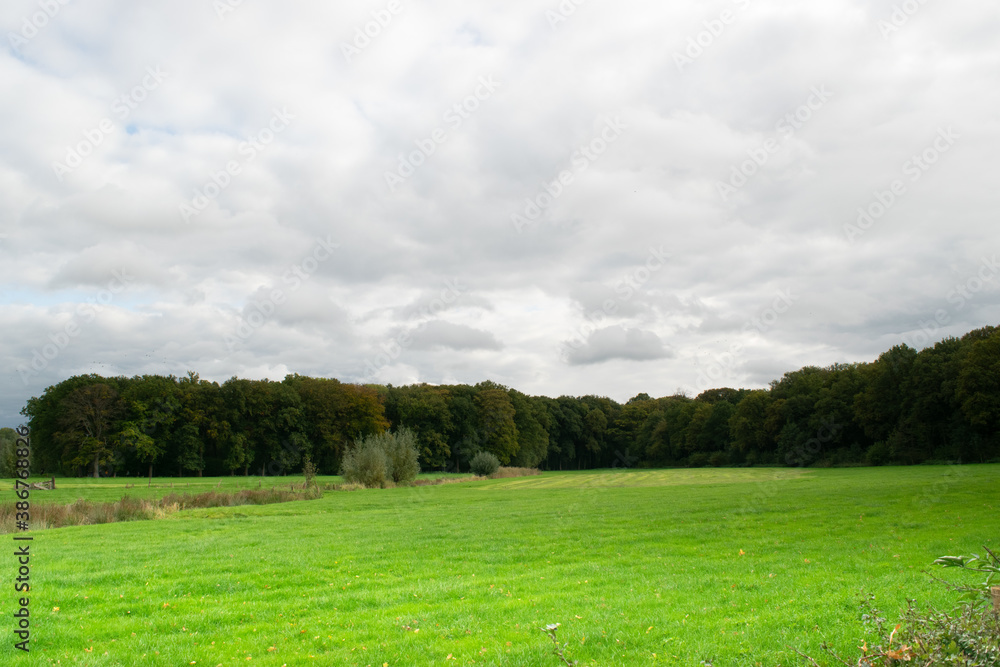 Meadow landscape next to Amelisweerd Meadow landscape next to Amelisweerd