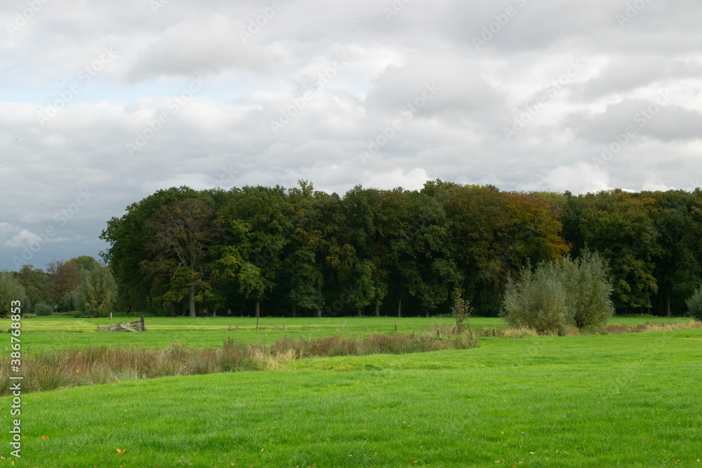 Meadow landscape next to Amelisweerd