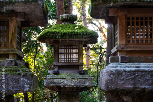Fototapeta Stone and wood lantern at shrine in Japan.