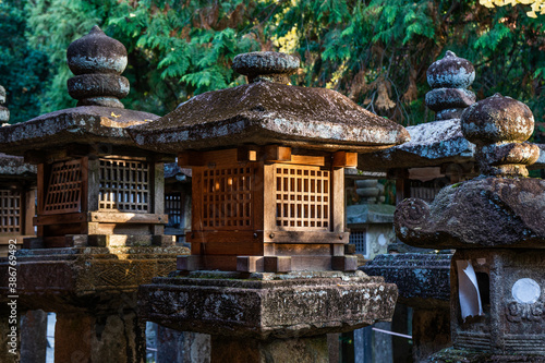 Photo Stone and wood lantern at shrine in Japan.