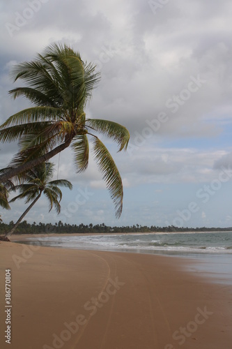 Desert Beach in Brazil