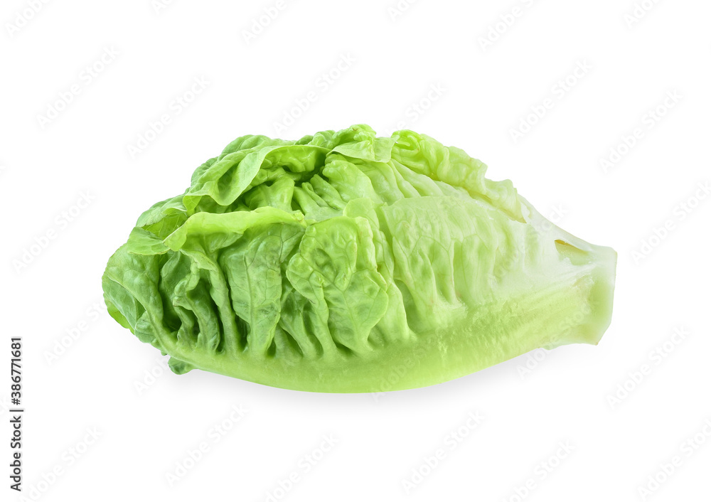 fresh baby cos (lettuce) on white background fresh baby cos (lettuce) on white background