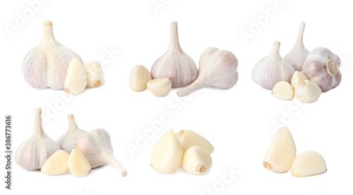 Set of garlic bulbs and cloves on white background