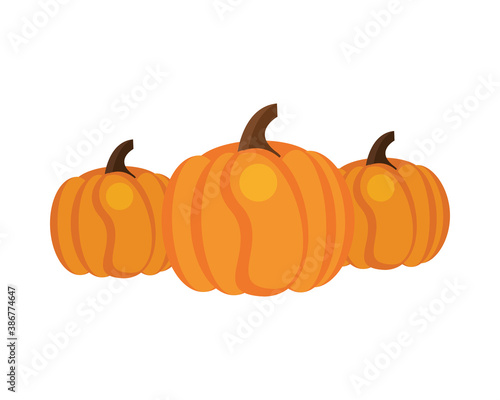 pumpkins autumn fruits seasonal icons