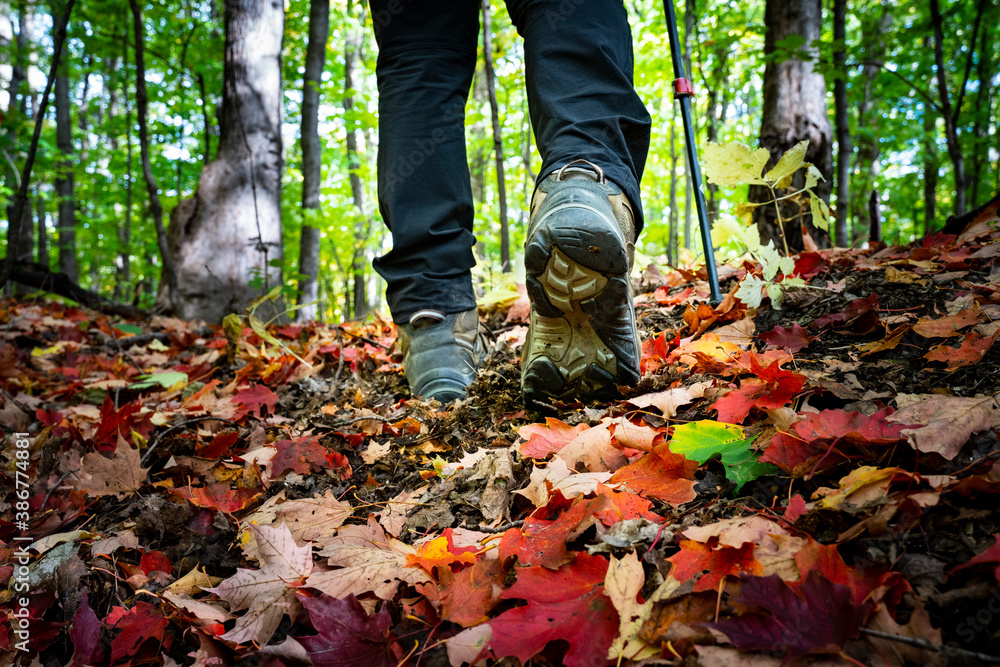 Active healthy man hiking in beautiful autumn forest Active healthy man hiking in beautiful autumn forest