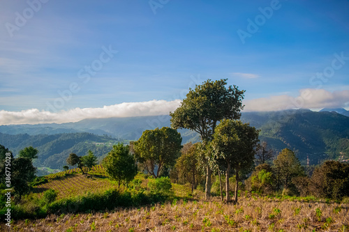 paisaje arables y montañas  photo