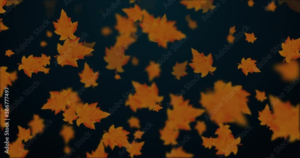 Animation of beautiful falling leaves in autumn background loop Animation of beautiful falling leaves in autumn background loop