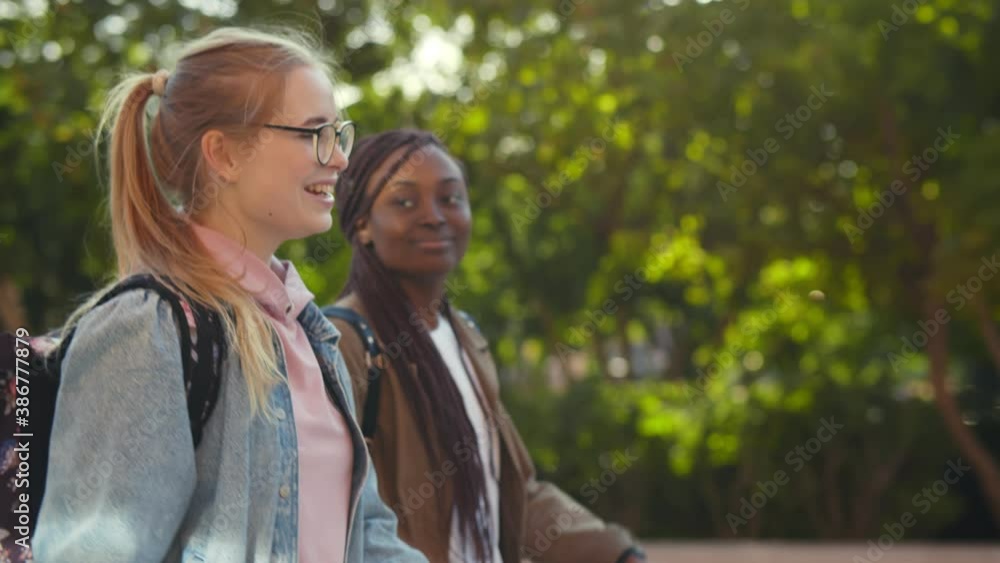 Pretty african and caucasian female students walking together in park Pretty african and caucasian female students walking together in park