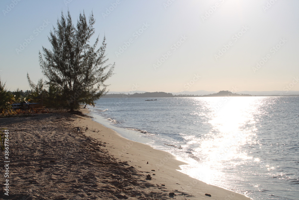 custom made wallpaper toronto digitalSunny day in a Desert Beach in Brazil