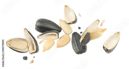 Sunflower seeds with hull flying on white background. Banner design