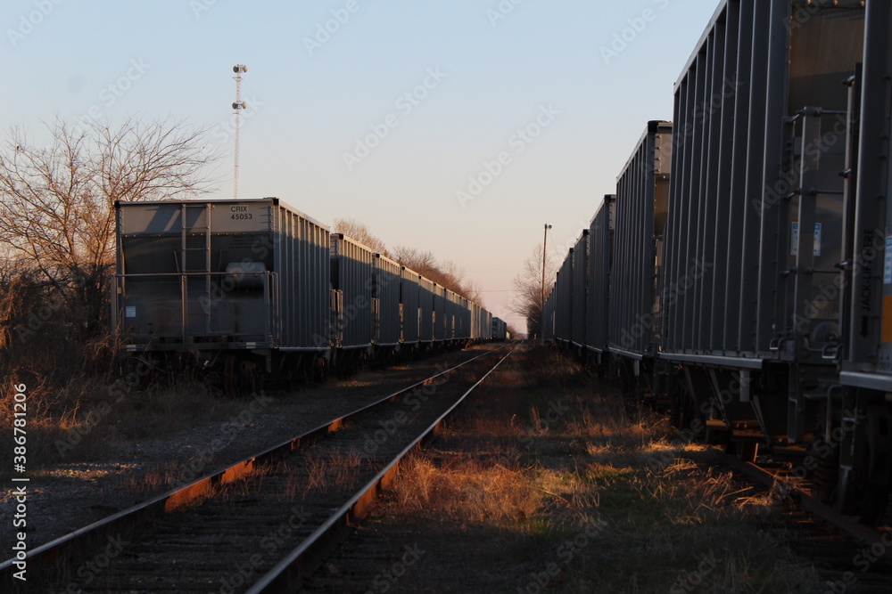 Fototapeta premium AUTUMN ABANDONED TRAIN BOXCARS