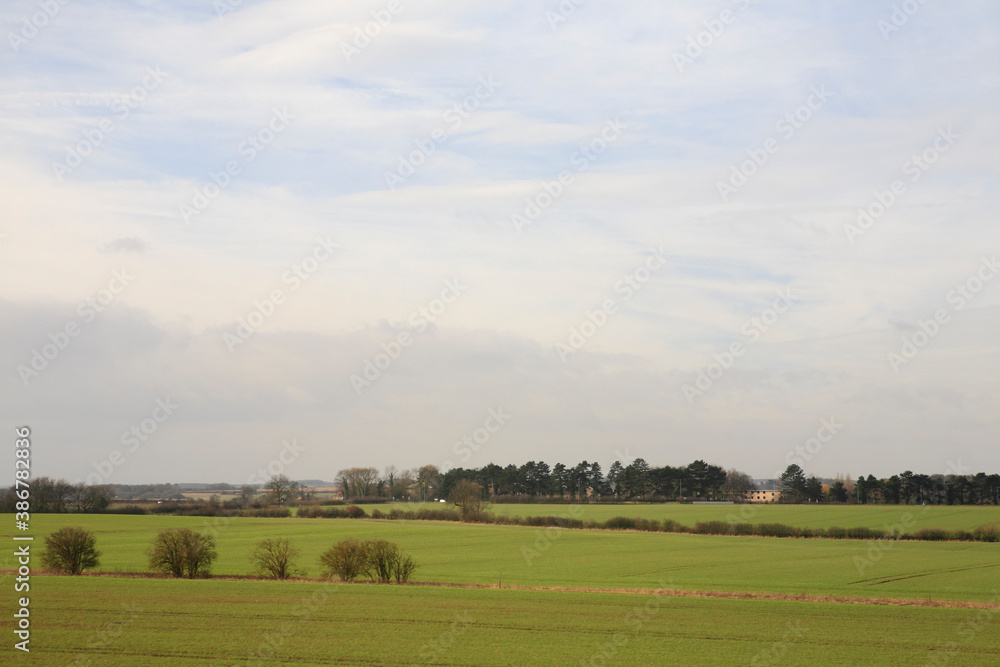 Fototapeta premium イギリス田園風景