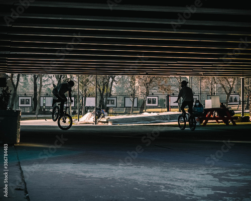 bmx riders siloutes under a bridge photo