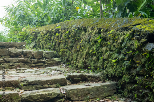 Mountain trekking trail with natural stone steps  passing through trees and walls overgrown with dense green moss