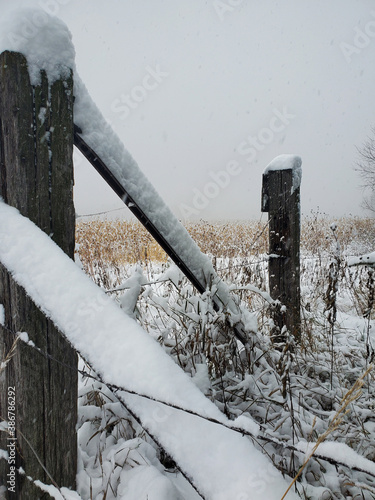 snow on a barbed wire fence. vertical photo.