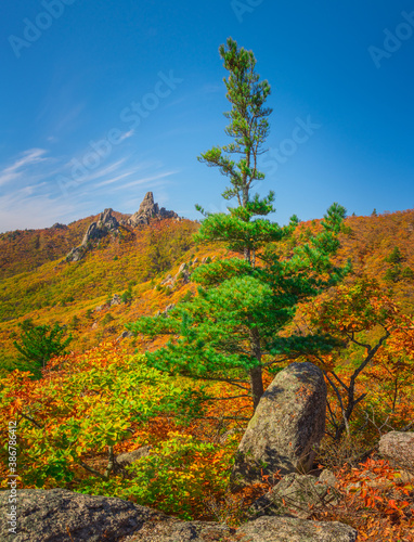 Golden autumn in the taiga mountains of the Primorsky territory of Russia