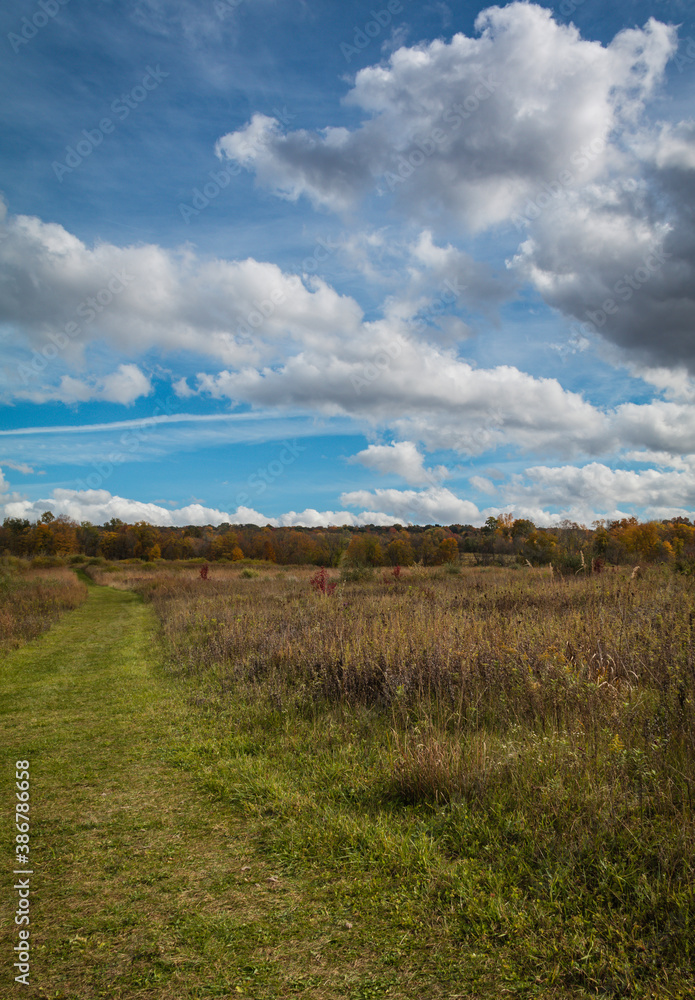 Meadow in Autumn on a delightful sunny day at Wallkill River National Wildlife Refuge, NJ, portrait
